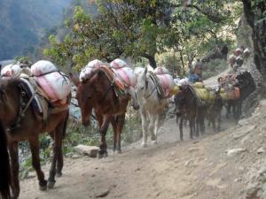 2014.03.09 Dungla-034