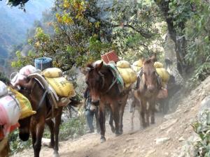 2014.03.09 Dungla-035