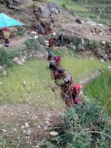 rapport2016_photo_13